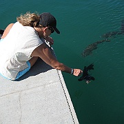 Picture 037